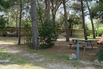BBQ/picnic area