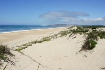 beach