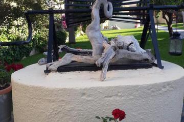 Photo 37