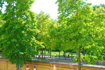 Photo 34