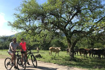 Bicycling