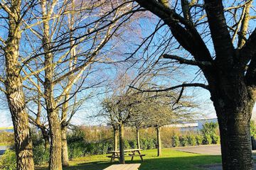 BBQ/picnic area