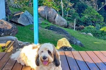 Pet-friendly