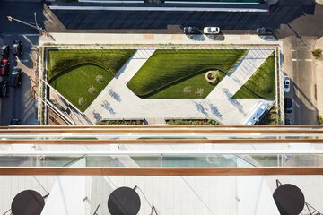 Park view