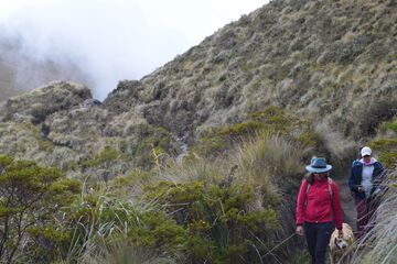 Hiking