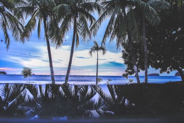 Land view from property