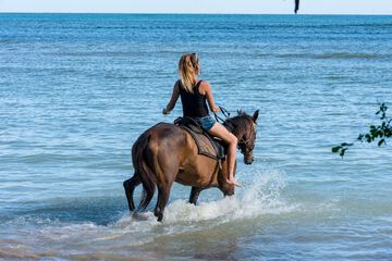Horseback riding