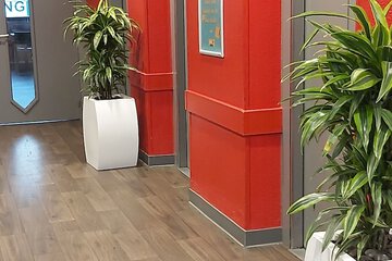 Elevator