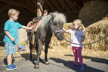 Horseback riding