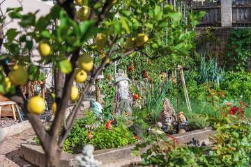 Garden view