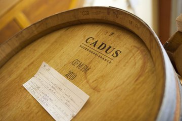 Winery