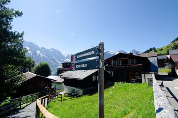 Hill view
