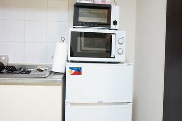 Mini-refrigerator