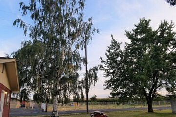 Land view from property