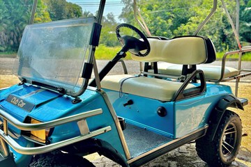 Golf cart