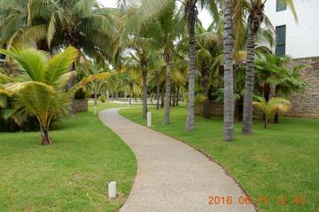 Photo 82