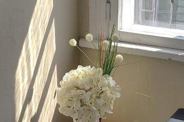 Photo 37