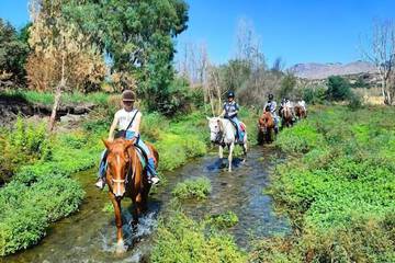 Horseback riding