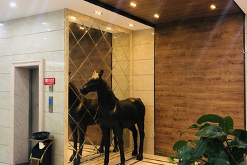 Hotel Interior or Public Areas