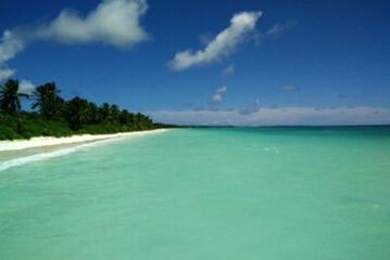 Beach or Ocean View