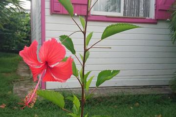 Photo 35