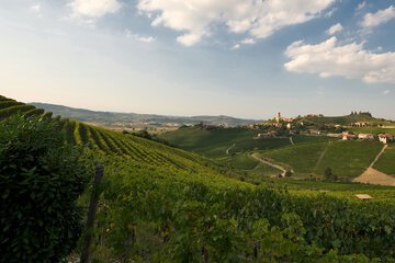 Winery