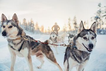 Sledding
