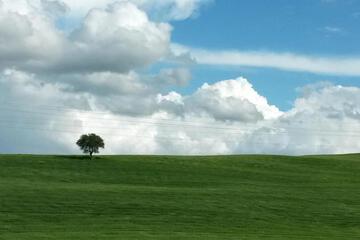 Photo 50