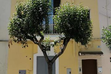 Photo 37