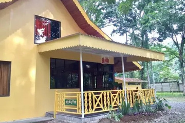 outside