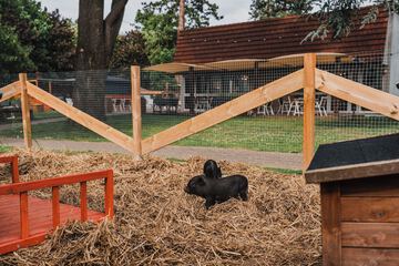 Land view from property