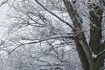 Land view from property