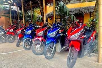 Scooter/moped