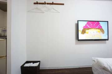 Television
