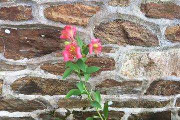 Photo 74