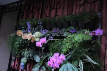 Photo 38