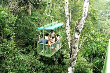 Ecotours