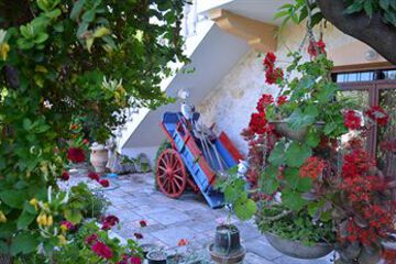 Terrace or Patio