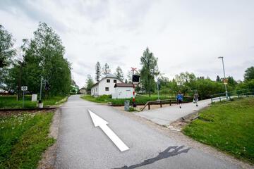Photo 41