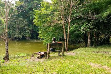 Lake view