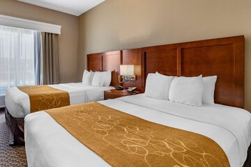 Comfort Suites Near Texas a & M University - Corpus Christi