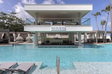 Swim-up bar