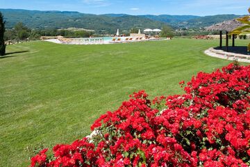 Park view