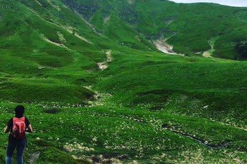Ecotours