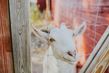 Children's activities