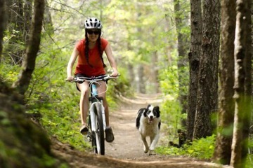 Bicycling