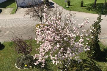 Photo 28
