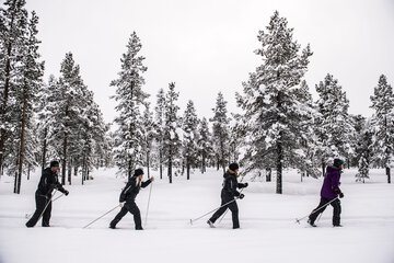 Skiing