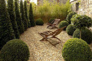 Garden view