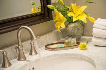 Bathroom amenities